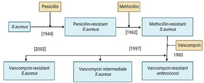 Vancomycin drug resistance, an emerging threat to animal and public health